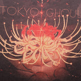 Tokyo Ghoul Ken Kaneki Poster 20x14in (51x36cm)