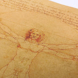 Vitruvian Man Leonardo Da Vinci Poster