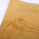 Vitruvian Man Leonardo Da Vinci Poster
