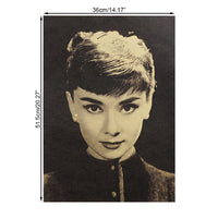 LARGE Audrey Hepburn Vintage Poster